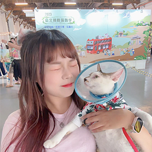 「臺北國際喵嗚季」是一個愛貓人士每年盛大的聚會